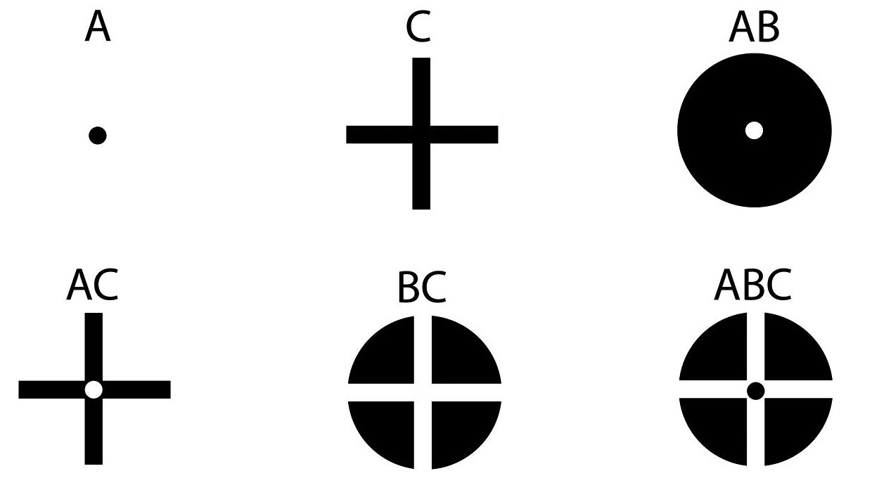 Fixation shapes from Thaler et al., 2013