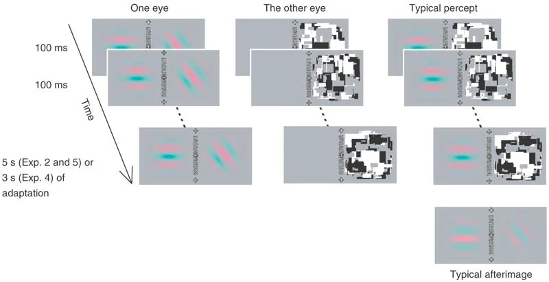 Methods figure from Tsuchiya & Koch, 2005